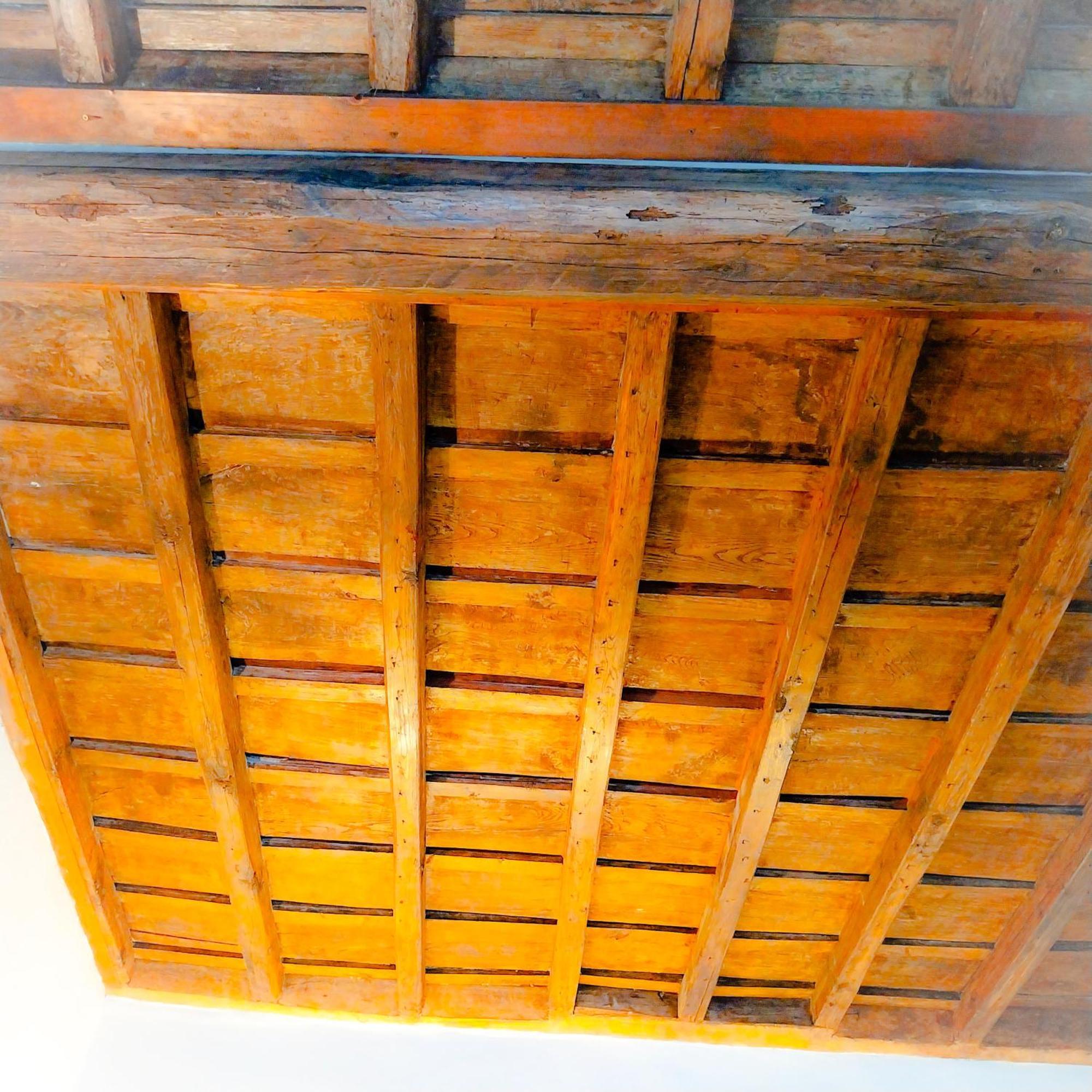 SunhouseRoma Dış mekan fotoğraf