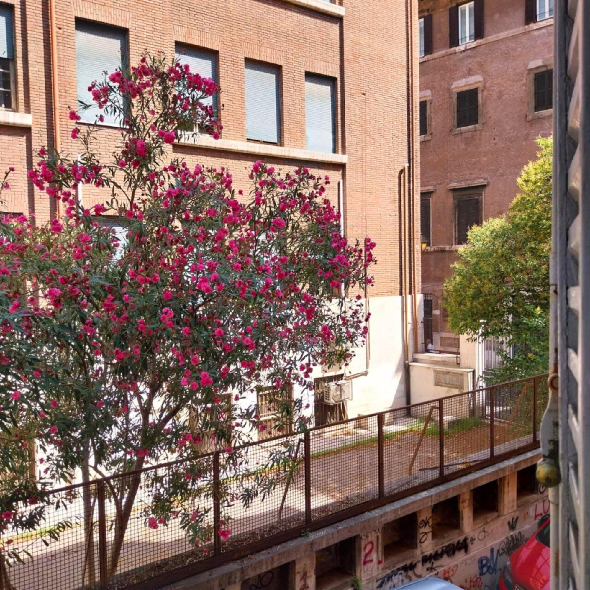 SunhouseRoma Dış mekan fotoğraf